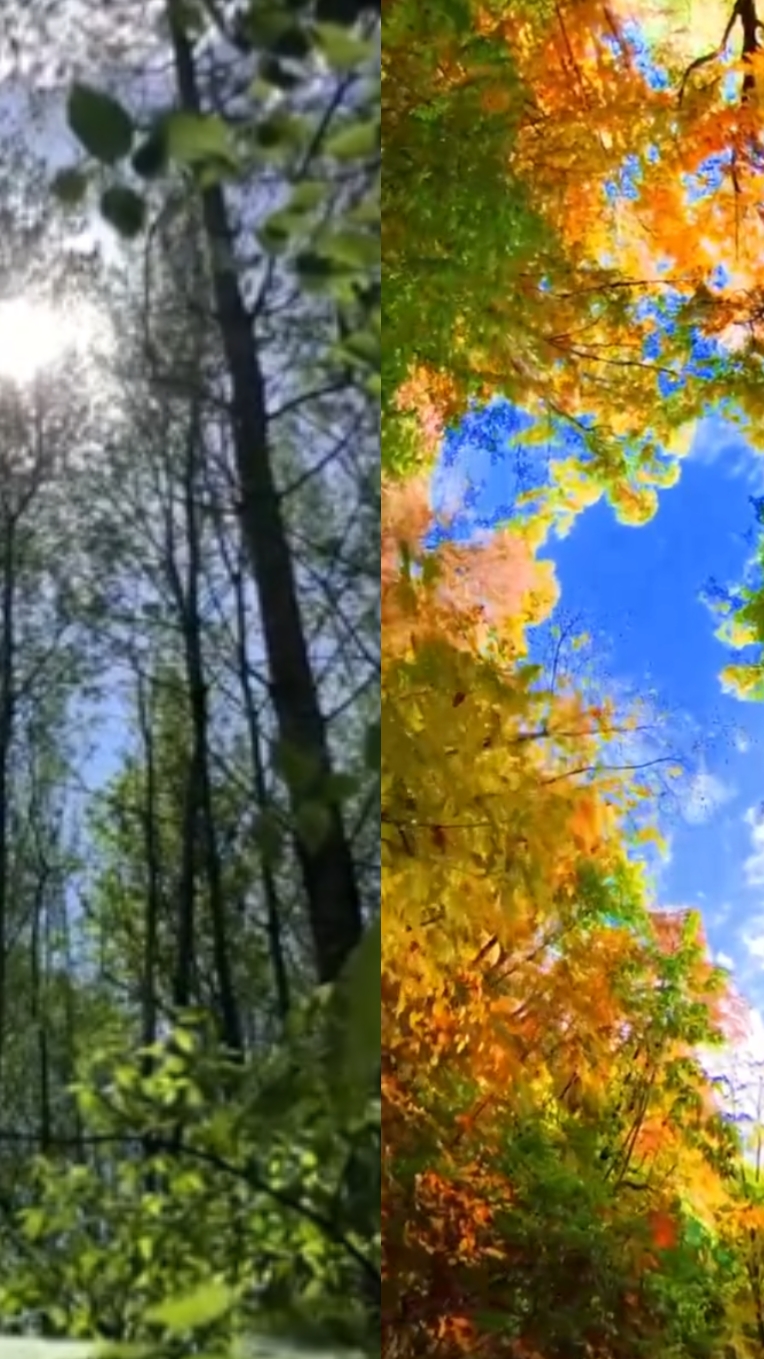Bienvenue à l'automne 