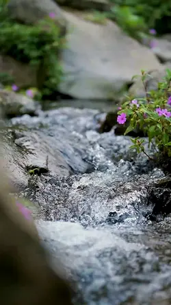 8 Videos Cinematic