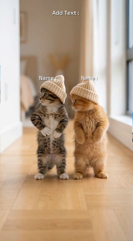 Funny Cat.. 