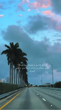 Moody Miami Drive