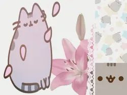 pusheen !!