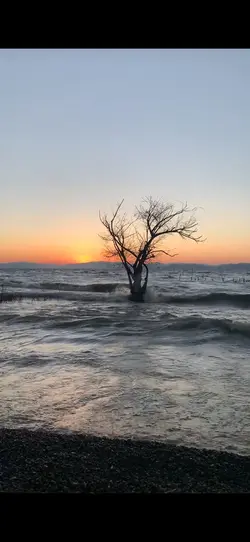 Talking to sunset