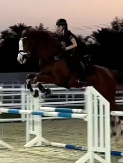 😻😻 | FAKE ⚠️‼️