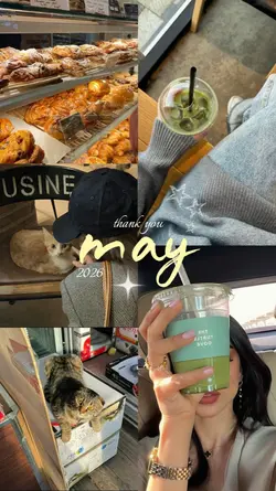 5 grid video