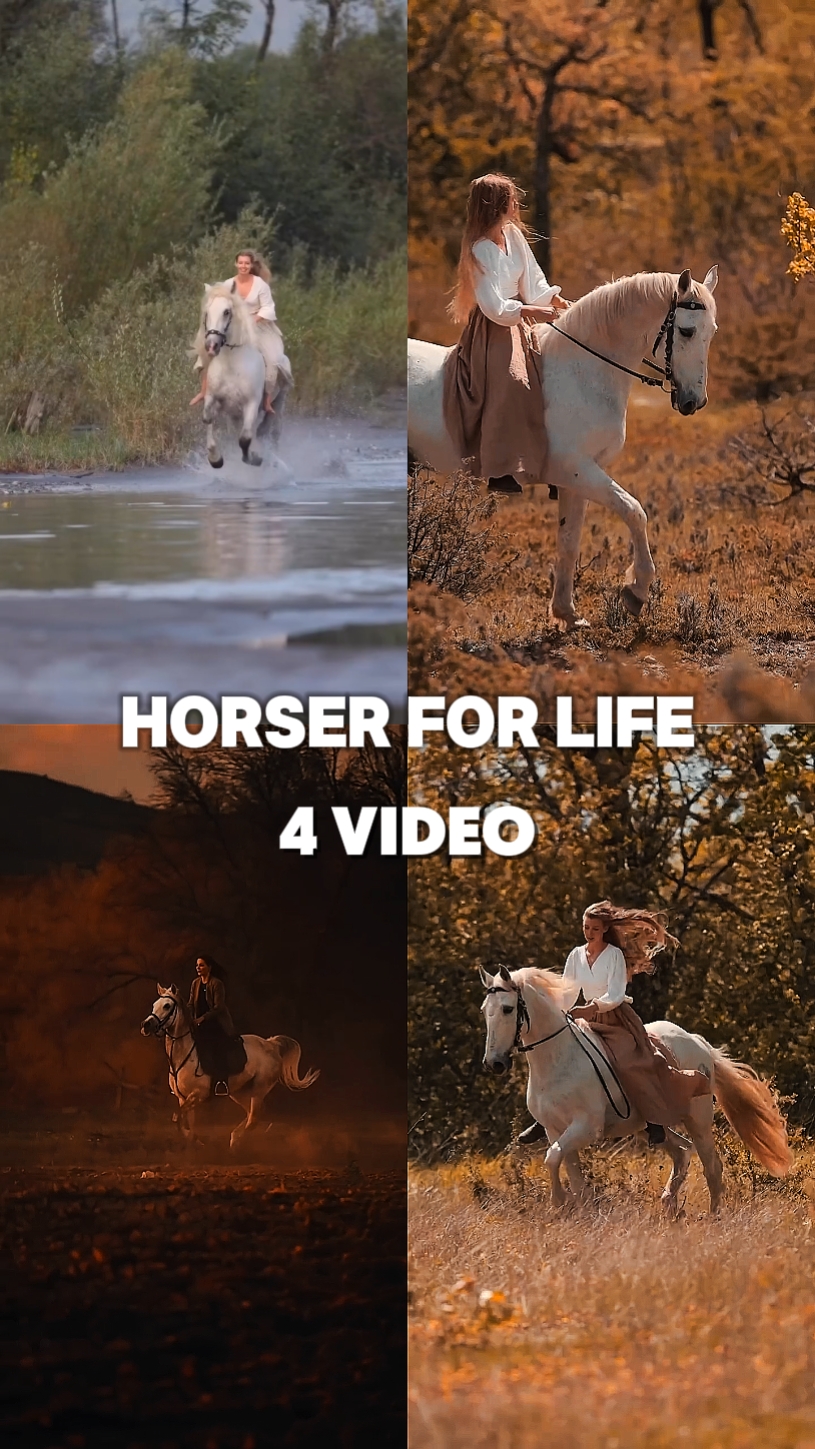 CABALLO 4 VIDA