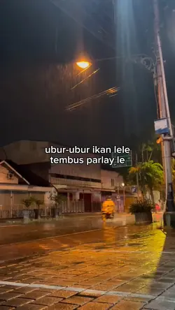 cair lee