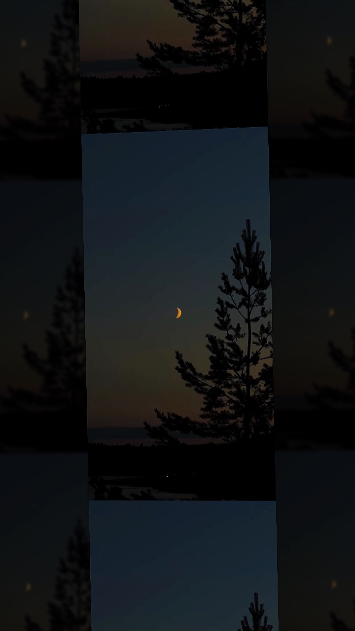 热门视频 