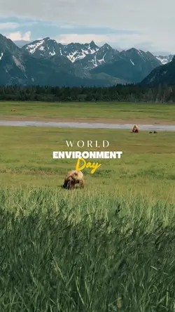 World Environment