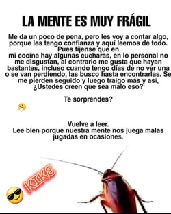 frases