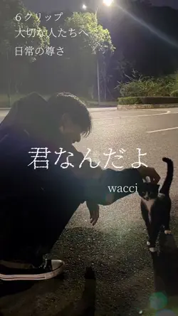 君なんだよ wacci