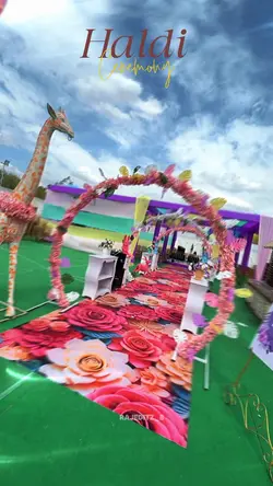 Haldi 4k viral video