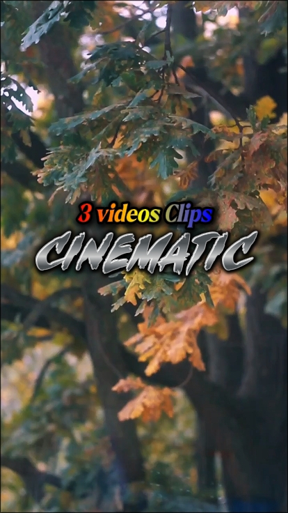 3 videos clips