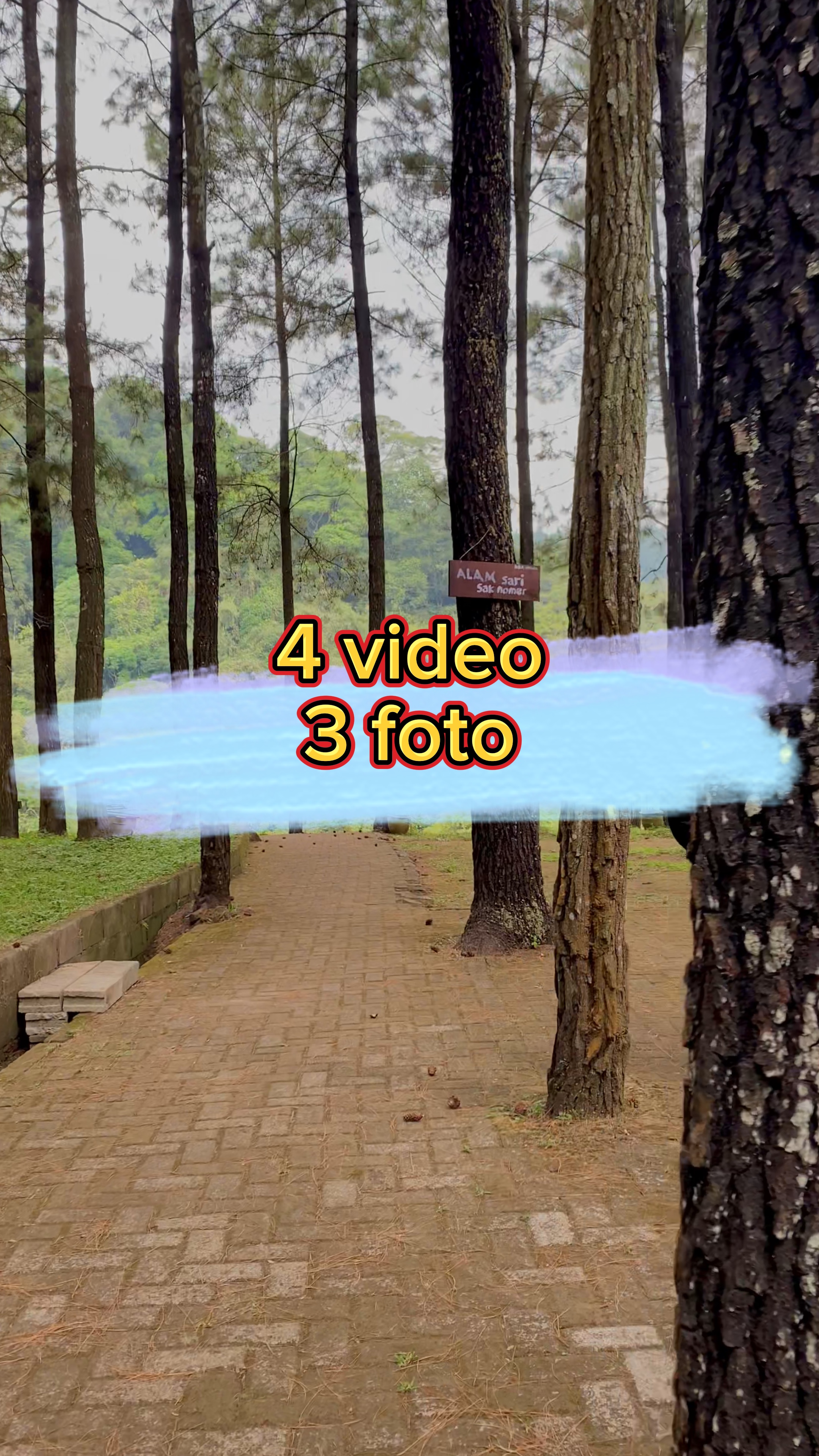 4 vidéo 3 photos