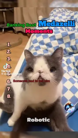 Best Medazelli momen