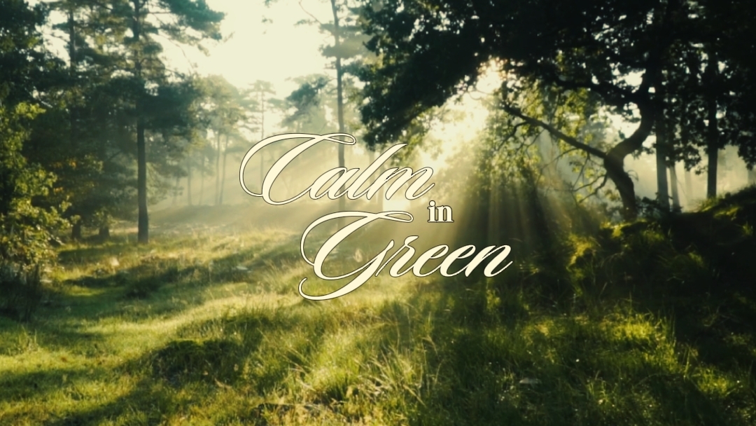 calm in green