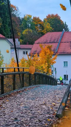 autumn Passau 
