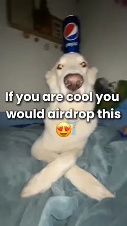 Pepsi dawg