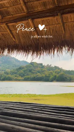 Peace 🍃
