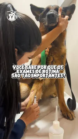 Veterinário 