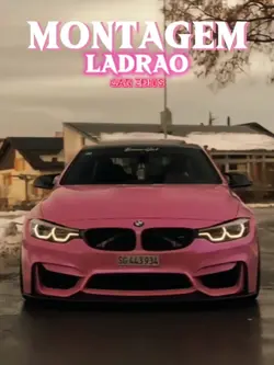 MONTAGEM LADRAO 