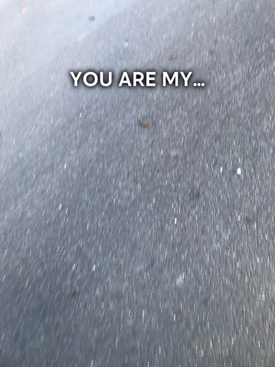 YOU ARE MY…