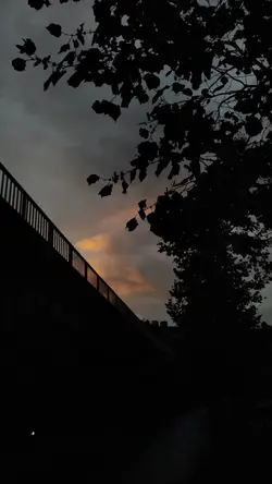 Healingvibes