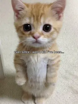 EVER SINCE I WAS KID