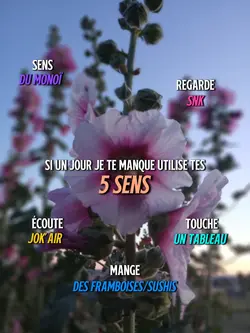 5 sens