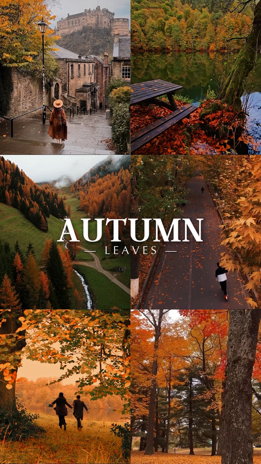 Herbstlaub