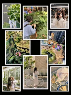 8Pic Frame Aesthetic