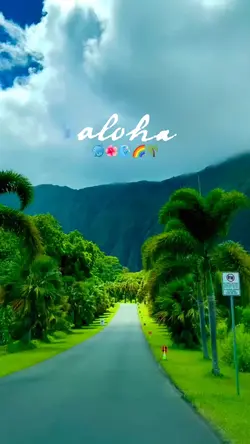 aloha ~