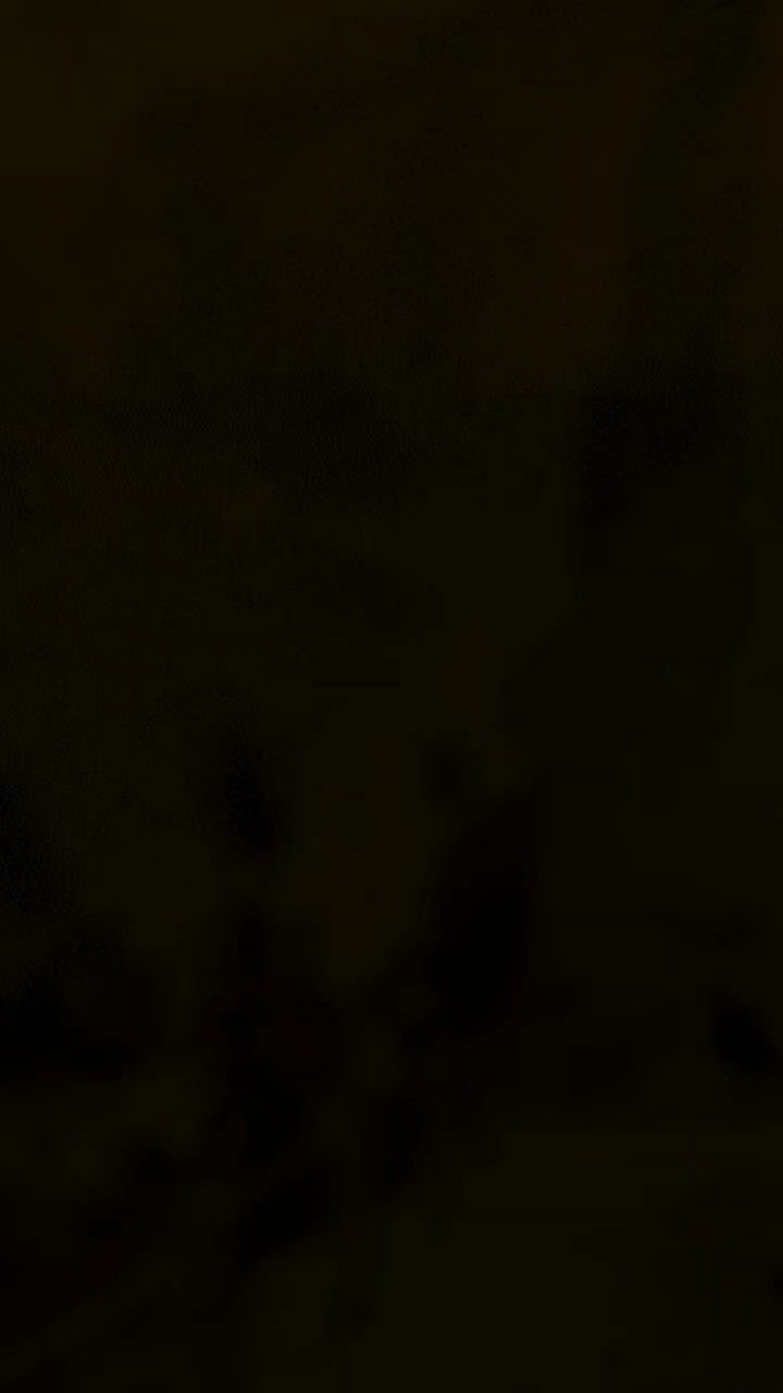 Novo Modelo 