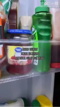 Rox cosplay (fridge)