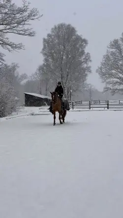 Snow ride❄️💞