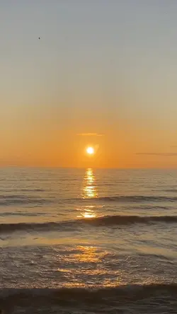 Vitaminsea