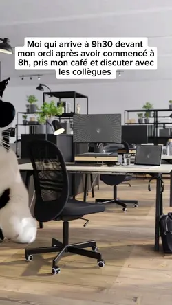 cat dancing