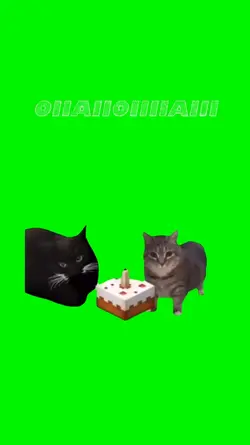 Birthday wishes
