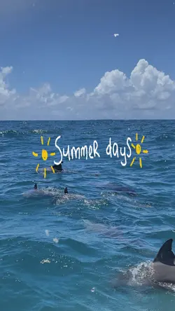 summer days ☀️