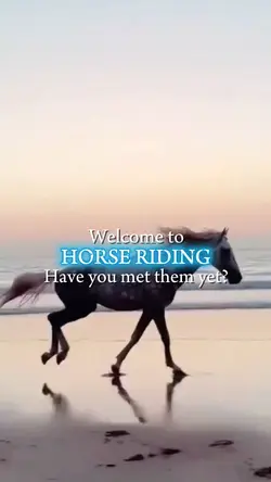 Have you met them?