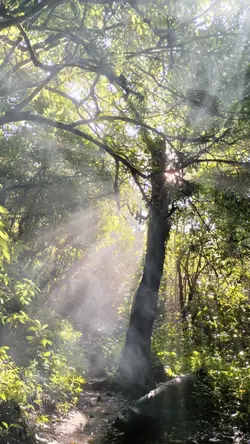 คำคม วัยรุ่น