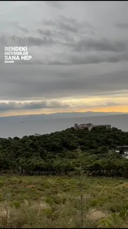 yeni şablon.