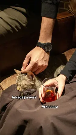 Arkadaş mıyız? 