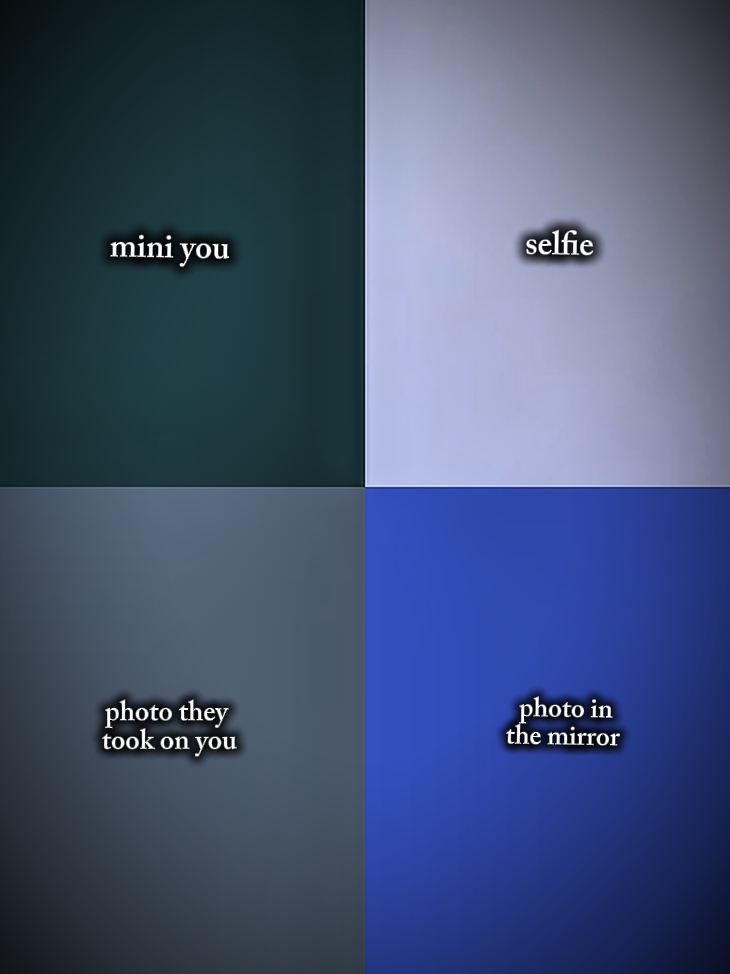 Mini du Selfie 