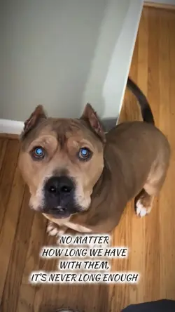 My hardest goodbye🩵💙