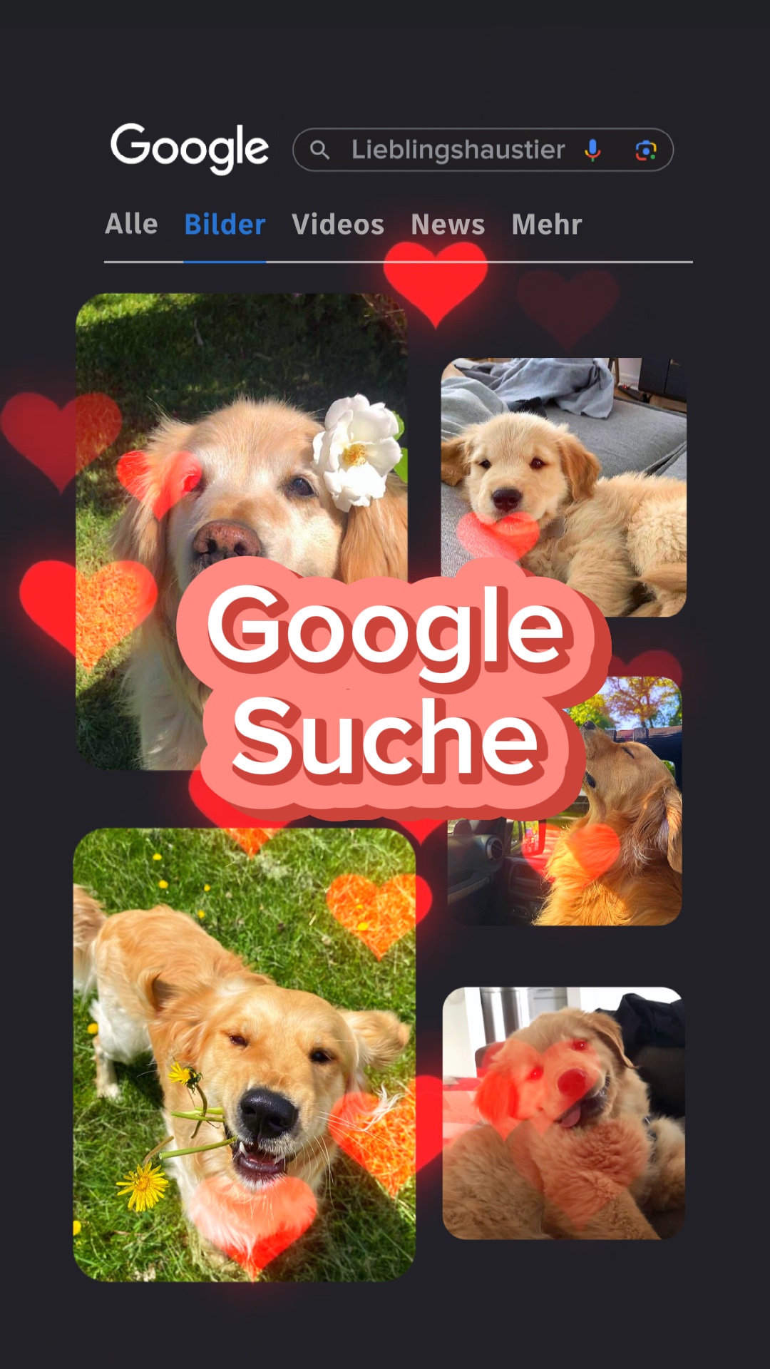 Recherche Google 