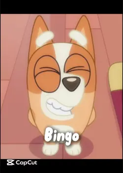 Bingo!