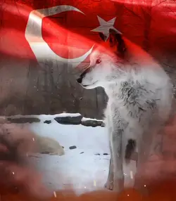 Türk yurtsuz kalmaz