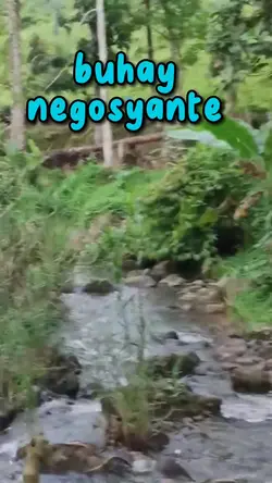 negosyante 