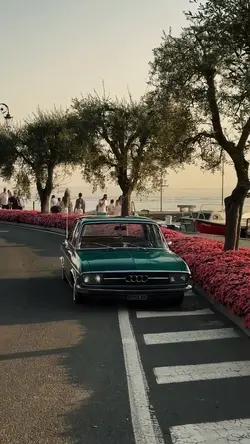 City transition cool