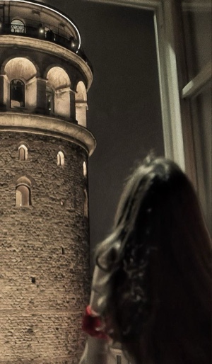 Cover Picture